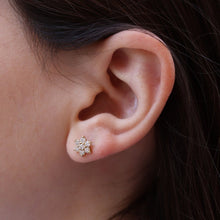 CUBIC ZIRCONIA - Flower earrings 925 Silver