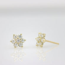 CUBIC ZIRCONIA - Flower earrings 925 Silver